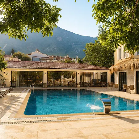 Güneş 4*